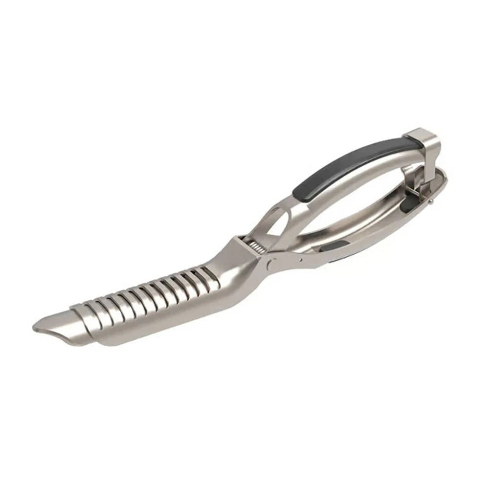 Rib Membrane Remover Stainless Steel Tool Kit,The Ultimate Rib Prep Tool