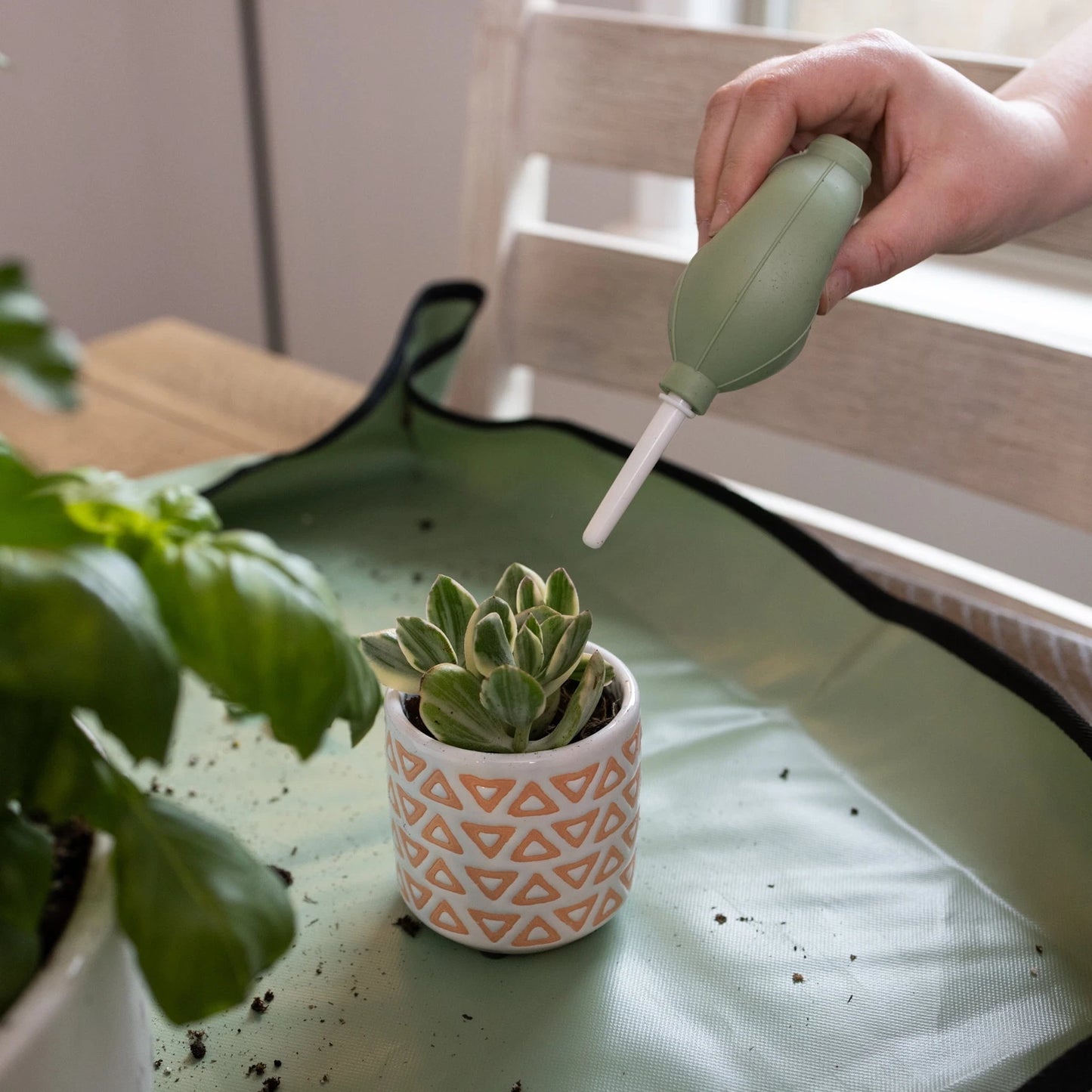 Indoor Stainless Steel Gardening Tool Set, 14 Pieces, Misty Mint