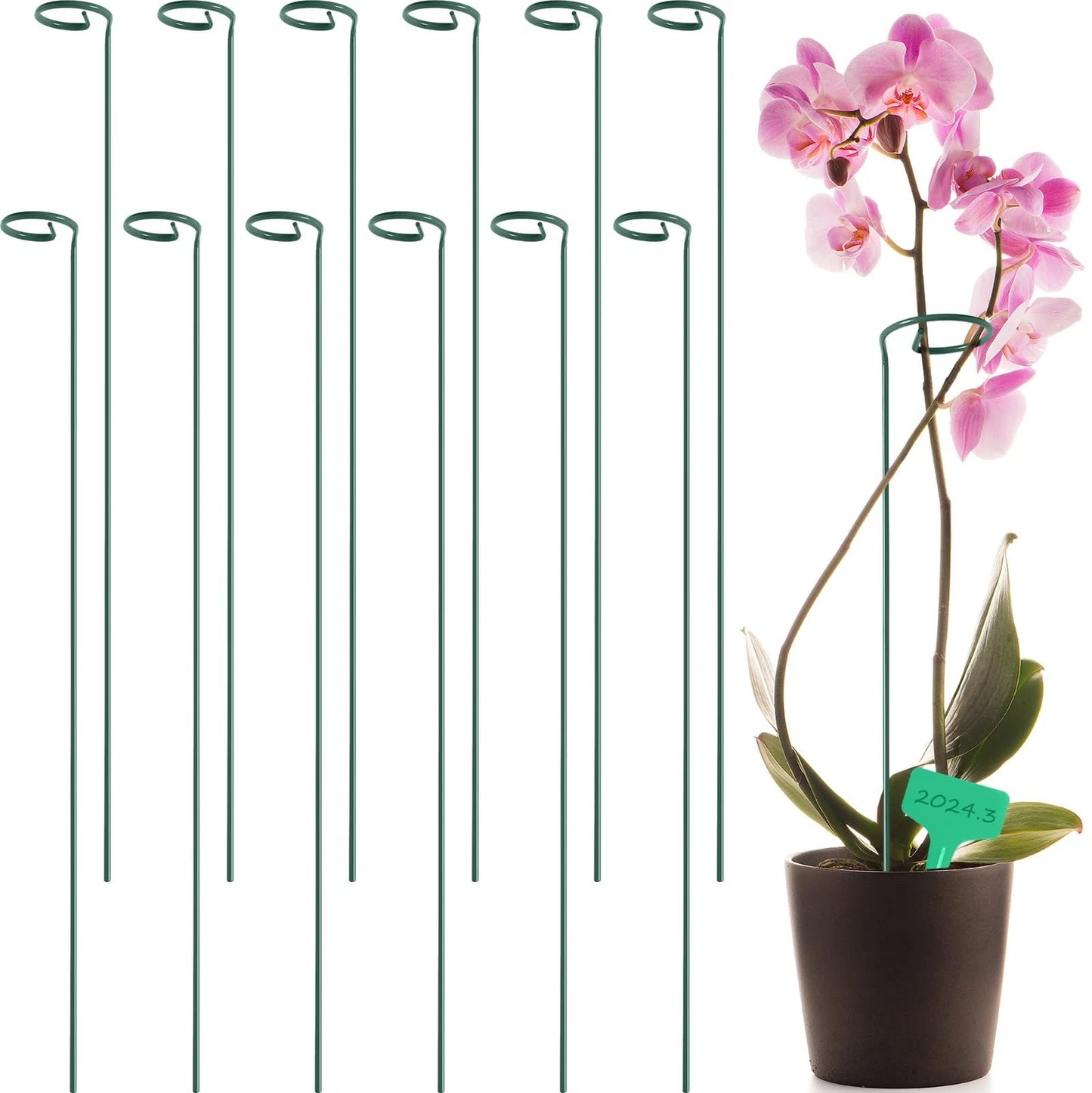 Plant Support Stakes with Plant Labels Garden Single Stem Flower Cage Support