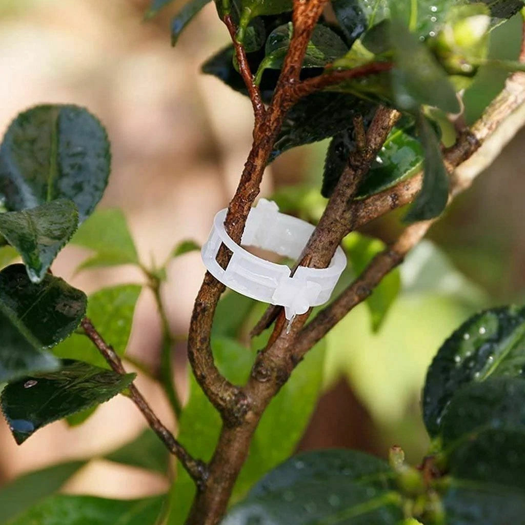 100-500Pcs 25mm Garden Plant Support Clips Tomato and Veggie Trellis Twine