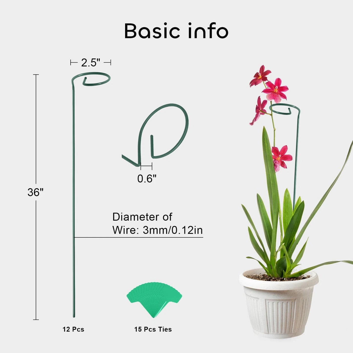 Plant Support Stakes with Plant Labels Garden Single Stem Flower Cage Support