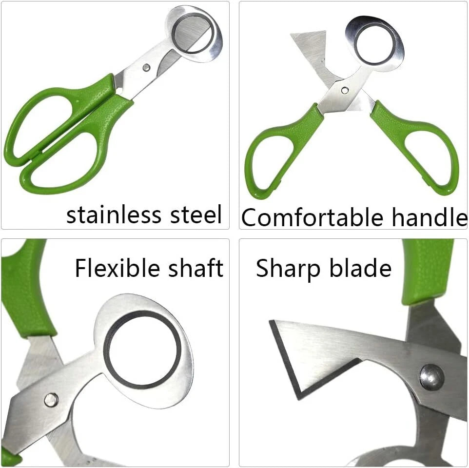Quail Roast egg scissors Cut eggshell scissors eggshell opening divider scissors