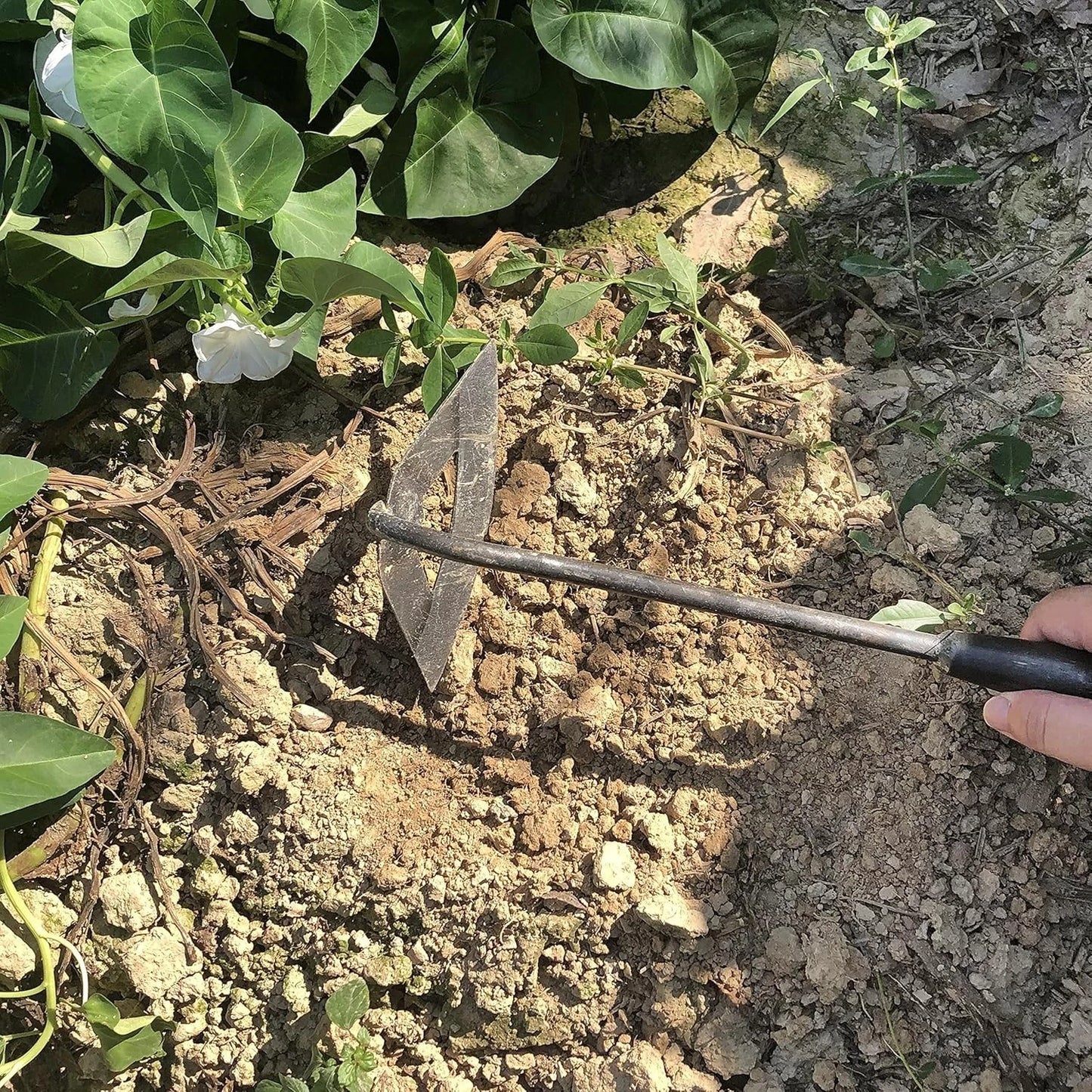 Gardening Tools Set: Hollow Hoe & Japanese Sickle for Effortless Weeding
