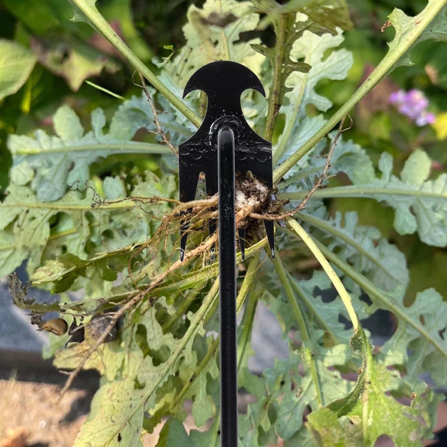 Upgrade Your Garden with 2-Pack 16 inch Weed Pulling Tools for Easy Gardening