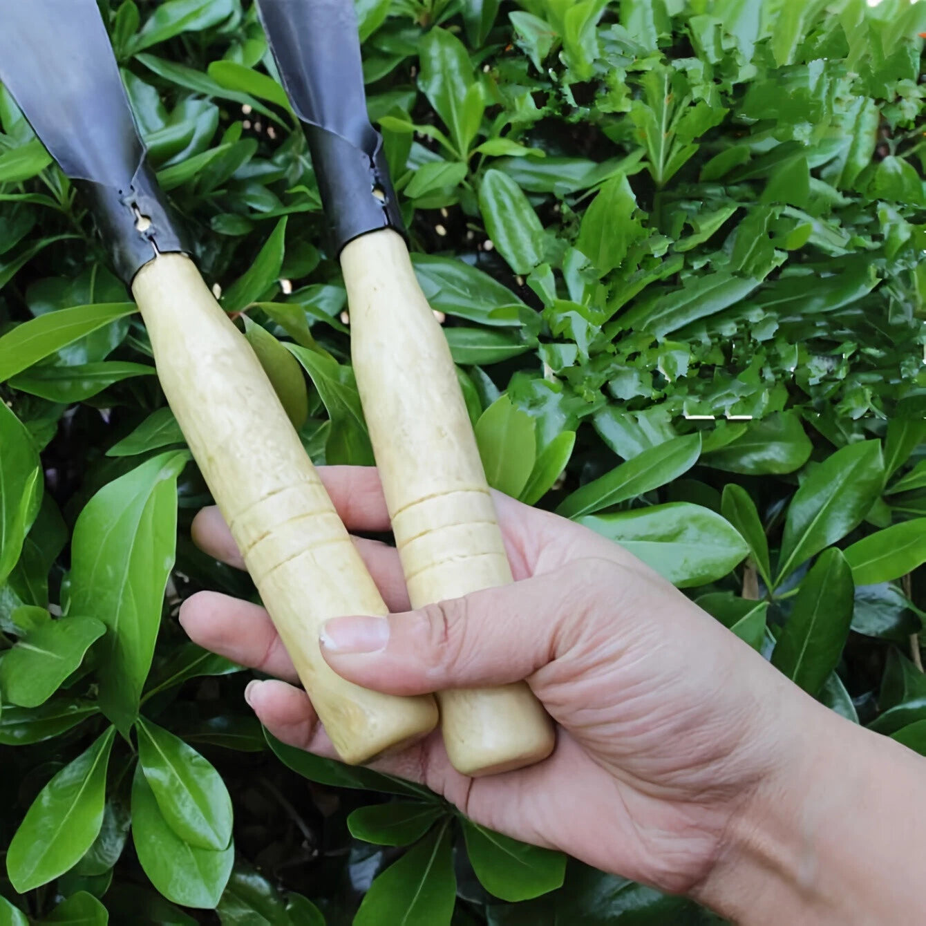 Set of Two Metal Garden Shovels - Ideal for Digging, Transplanting, Planting