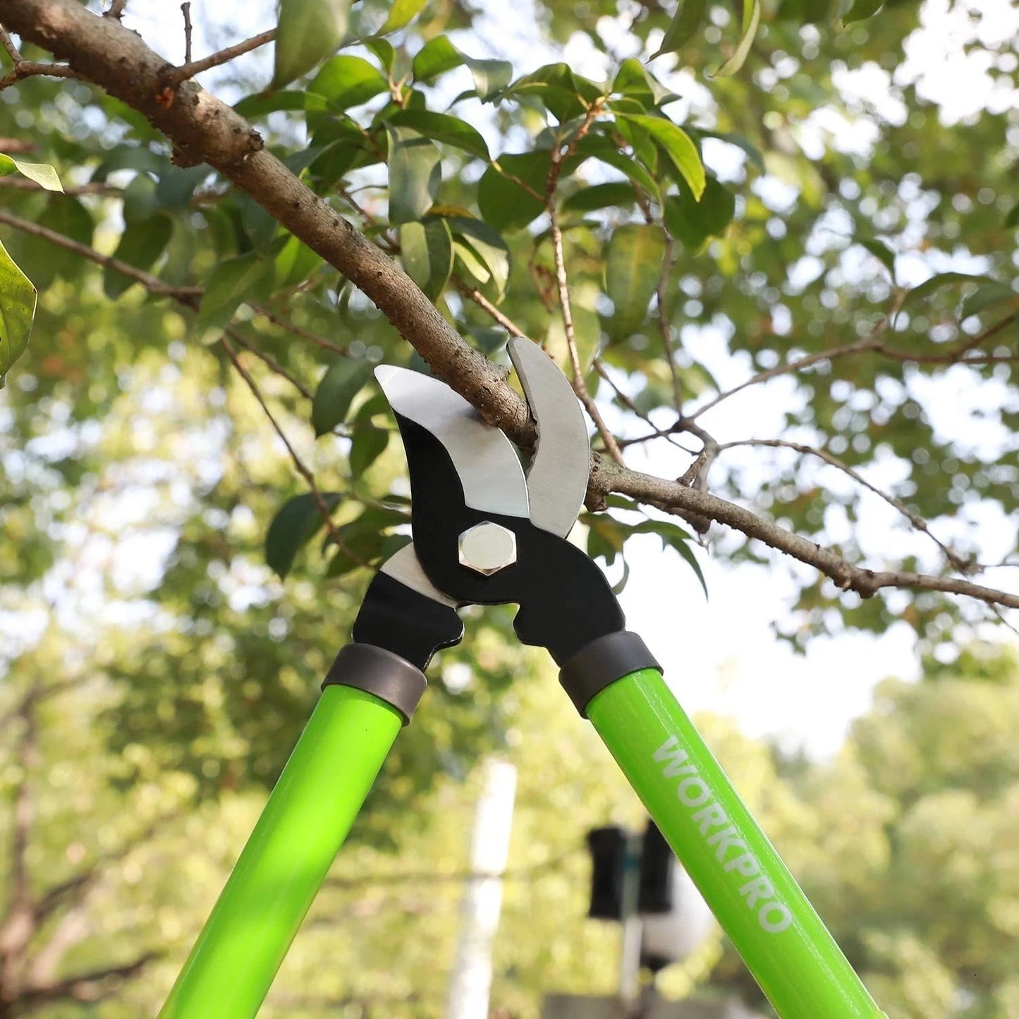 Garden Pruning Set: 2-Piece Heat-Treated Steel Tools for Effortless Cutting