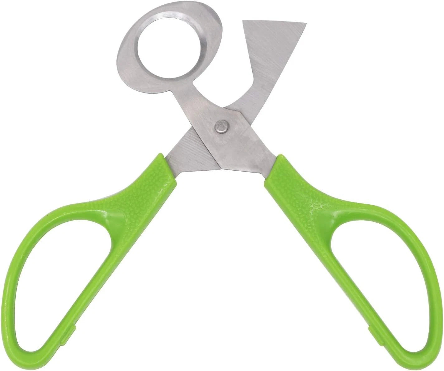 Quail Roast egg scissors Cut eggshell scissors eggshell opening divider scissors