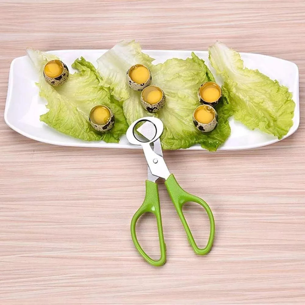 Quail Roast egg scissors Cut eggshell scissors eggshell opening divider scissors