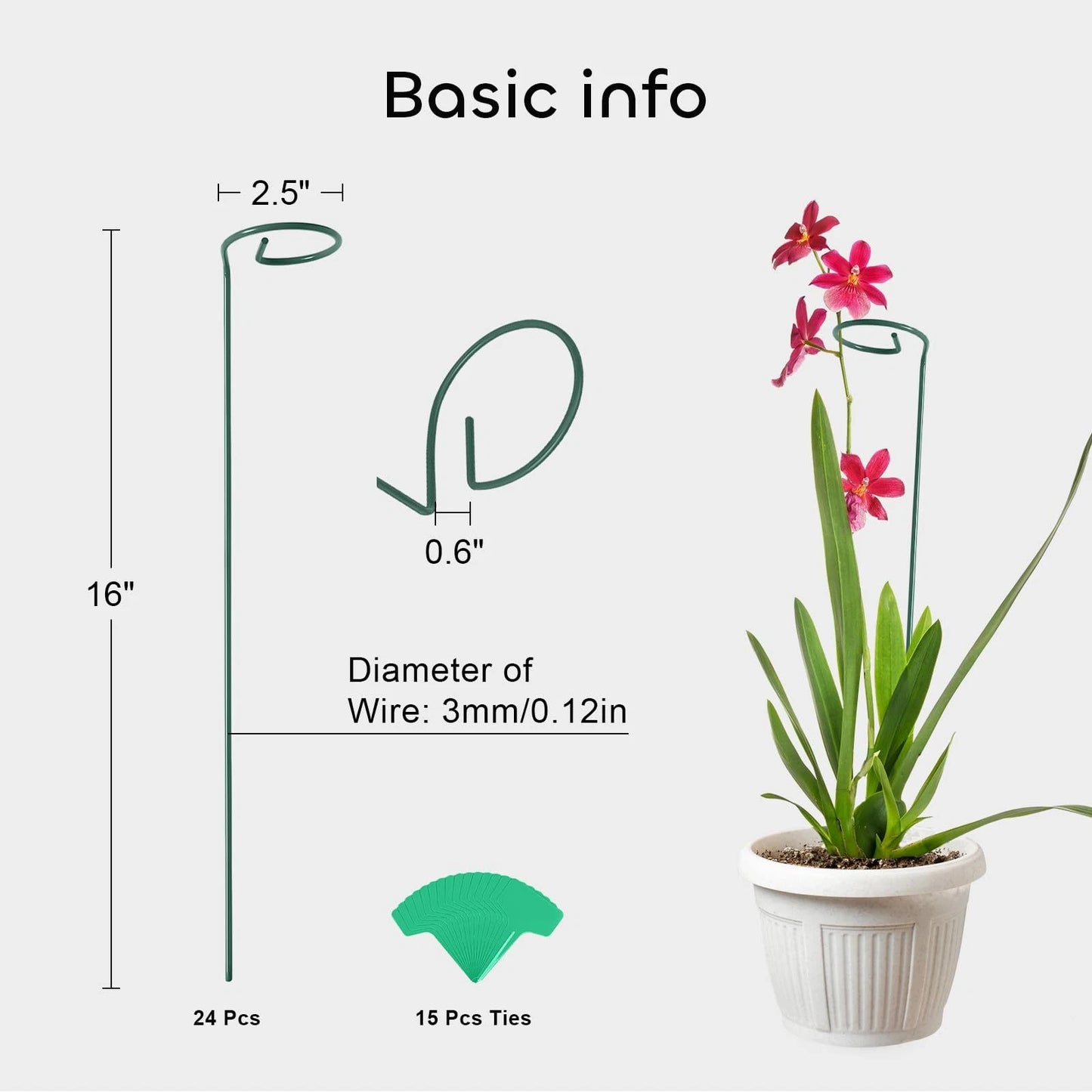 Plant Support Stakes with Plant Labels Garden Single Stem Flower Cage Support