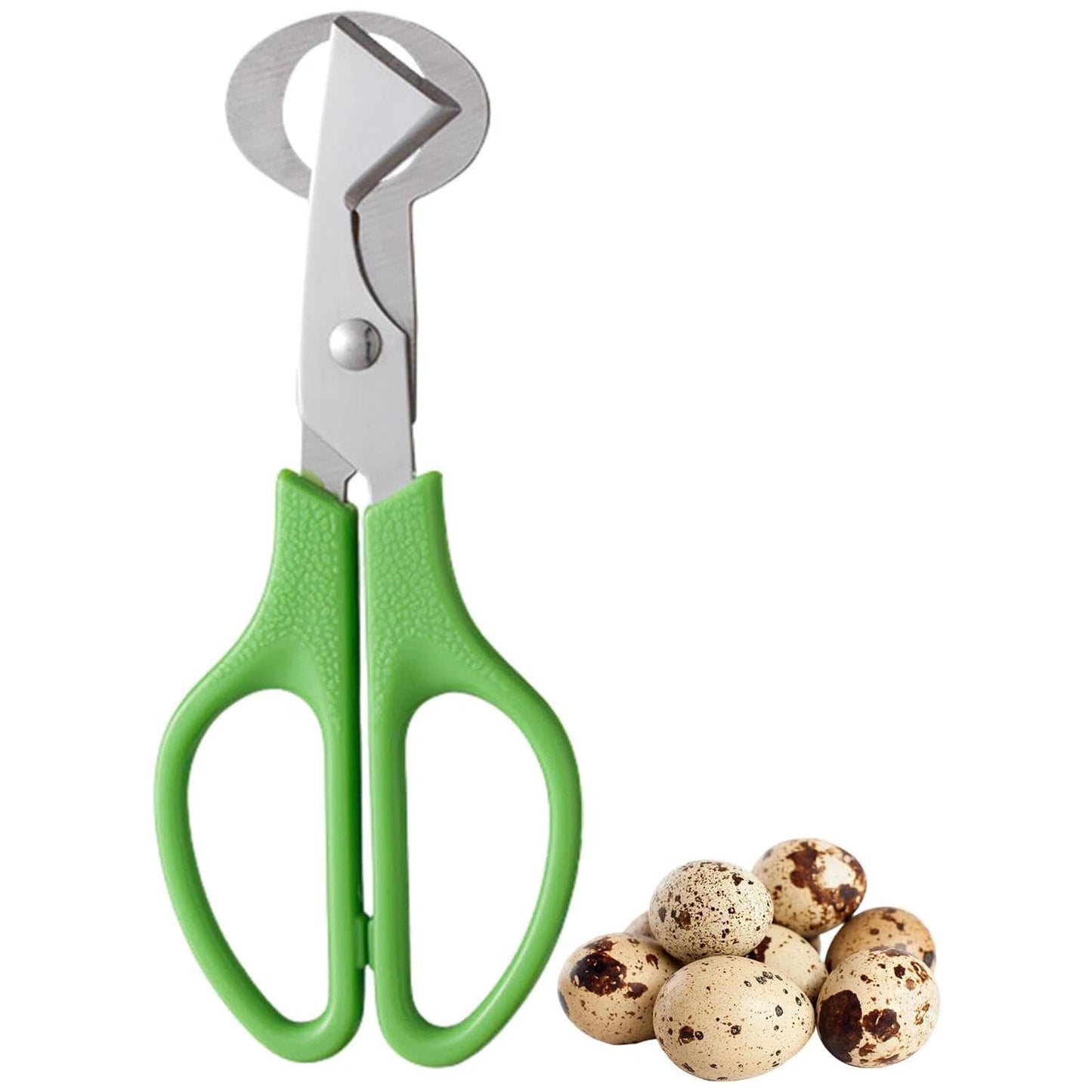 Quail Roast egg scissors Cut eggshell scissors eggshell opening divider scissors