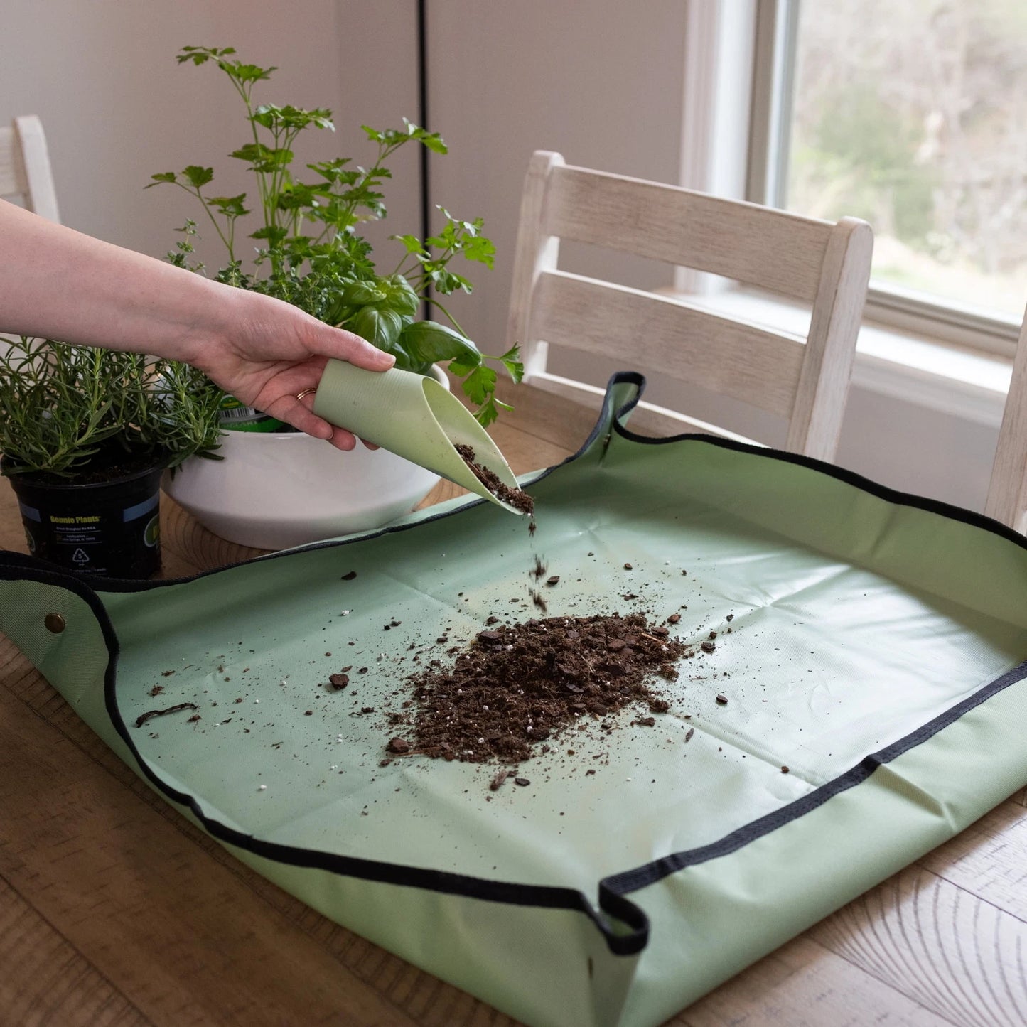 Indoor Stainless Steel Gardening Tool Set, 14 Pieces, Misty Mint