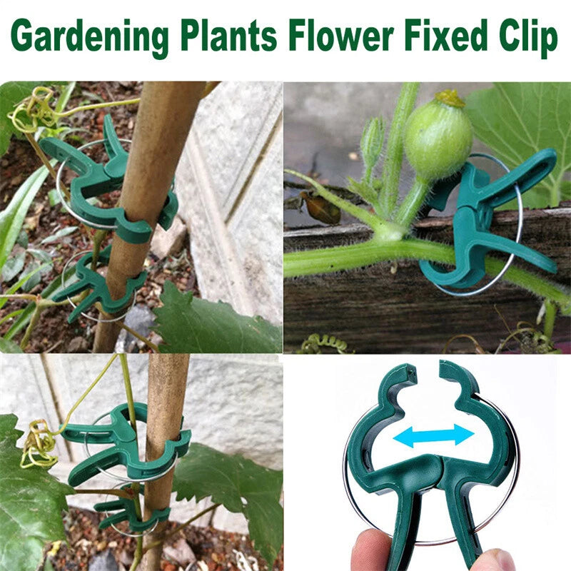 100PC LARGE PLANT & GARDEN CLIPS Support Tomato Vegetable Trellis Twine Ties