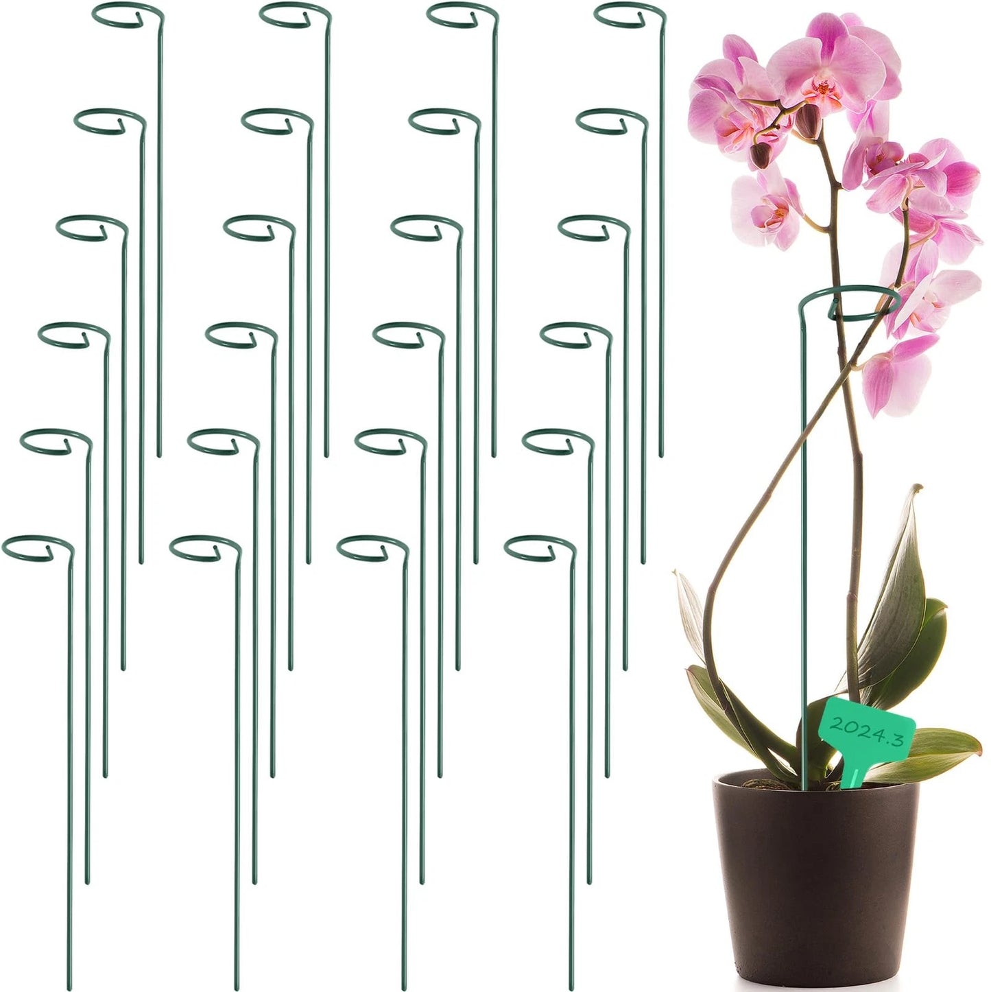 Plant Support Stakes with Plant Labels Garden Single Stem Flower Cage Support