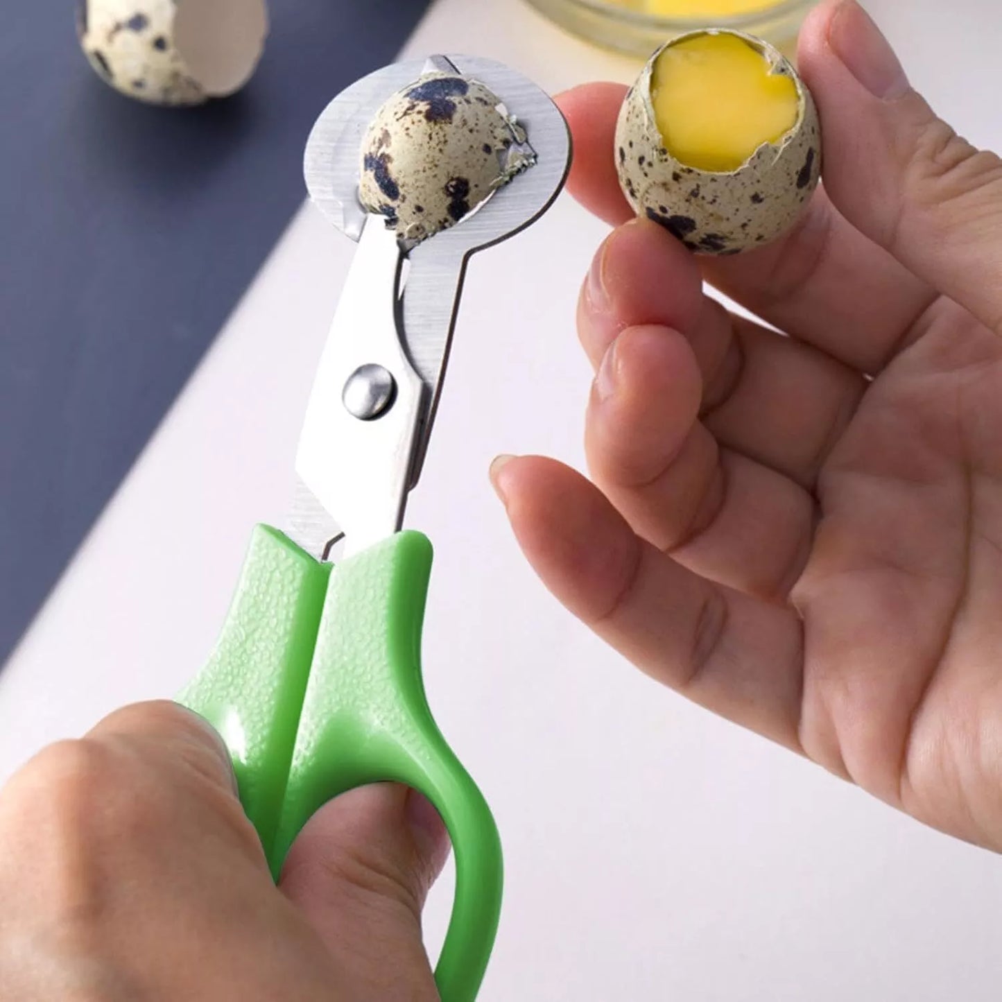Quail Roast egg scissors Cut eggshell scissors eggshell opening divider scissors