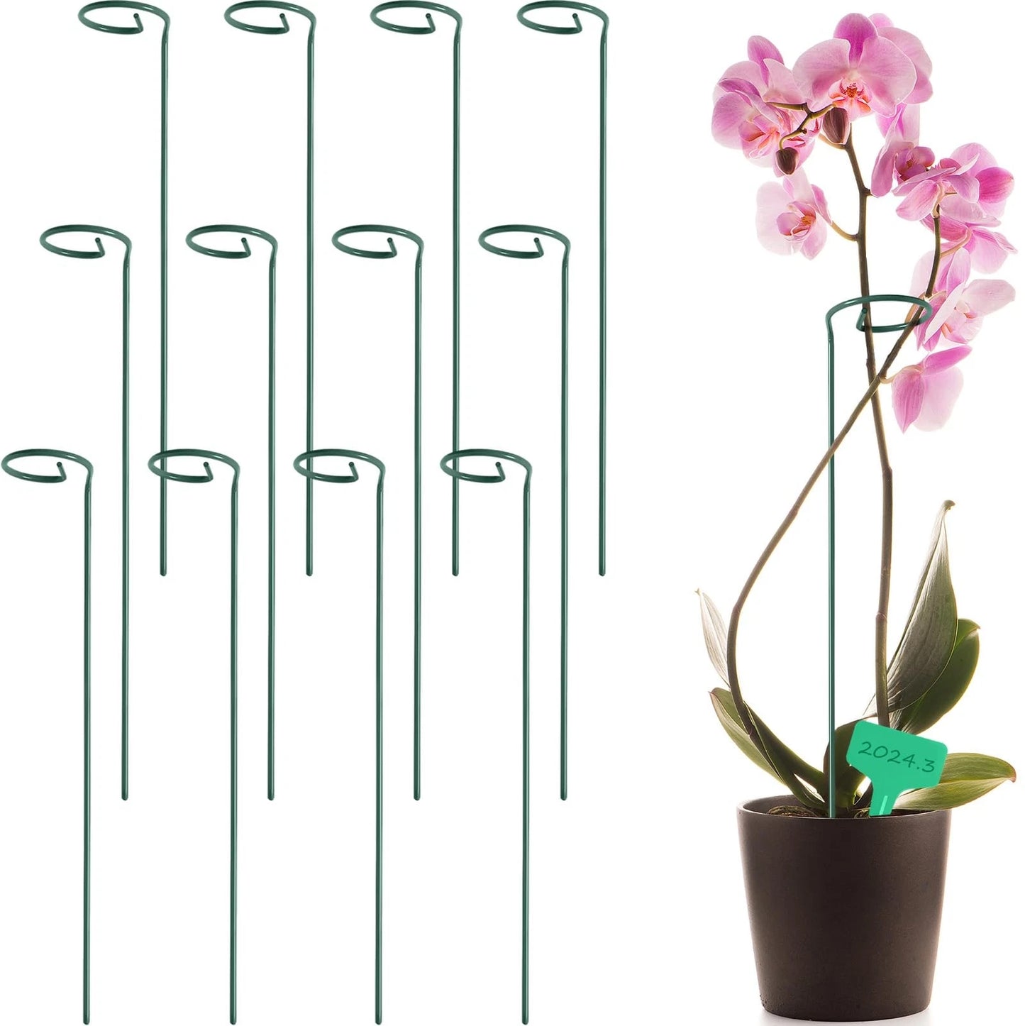 Plant Support Stakes with Plant Labels Garden Single Stem Flower Cage Support