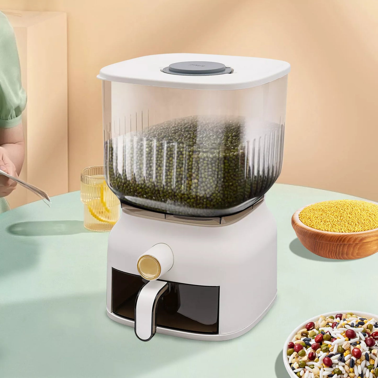 22 Lbs Food Dispenser Kitchen Organizer for Rice, Beans, Grains, Cereal Dry Food