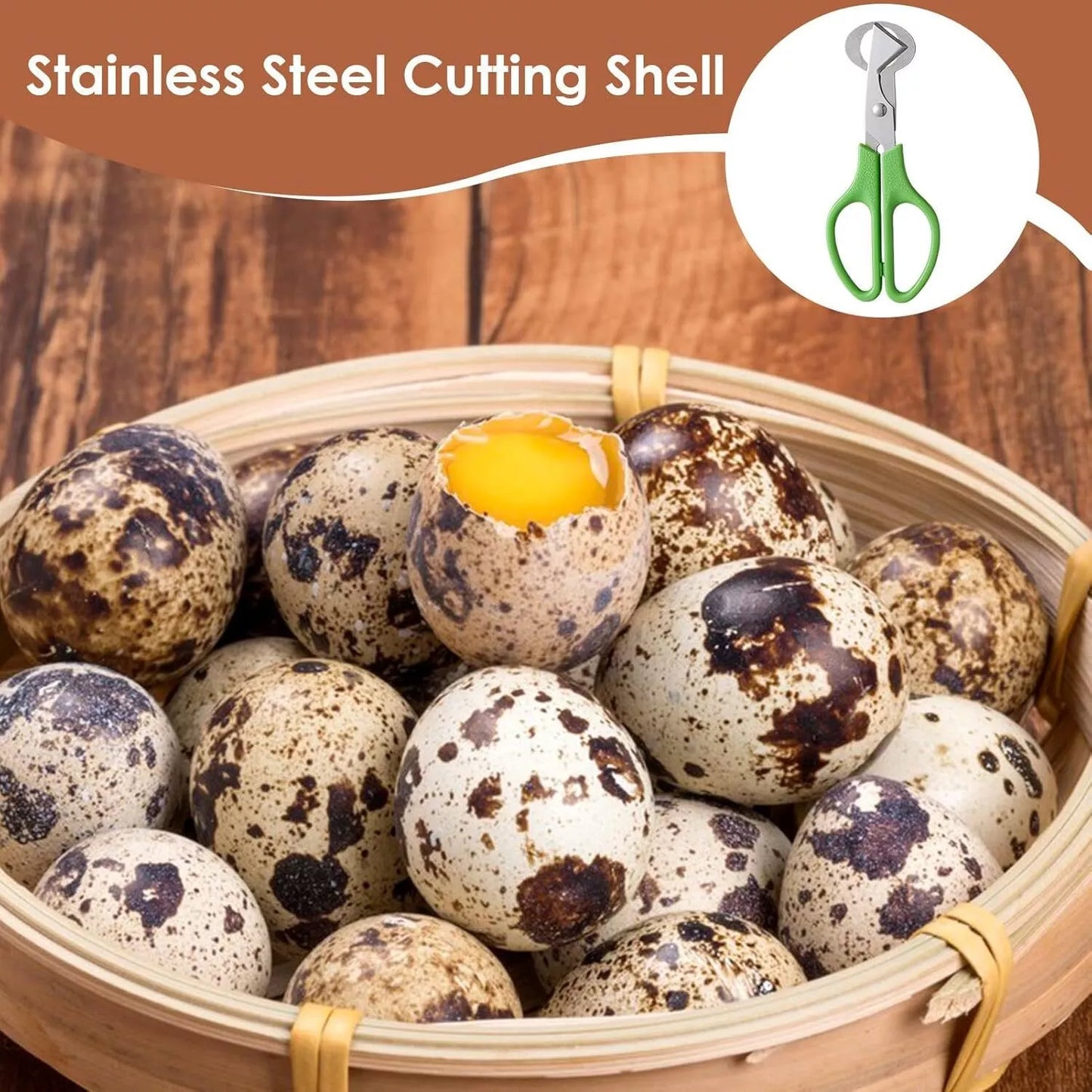 Quail Roast egg scissors Cut eggshell scissors eggshell opening divider scissors