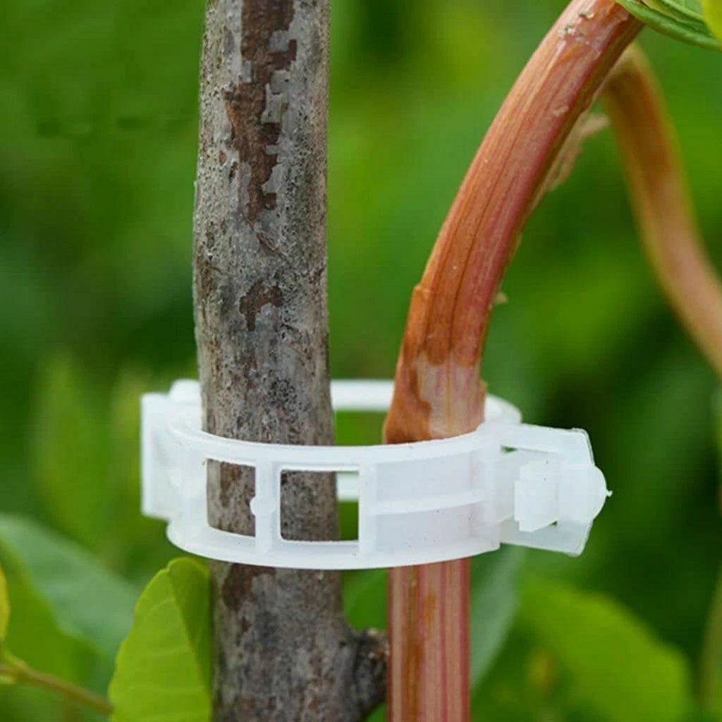 100-500Pcs 25mm Garden Plant Support Clips Tomato and Veggie Trellis Twine