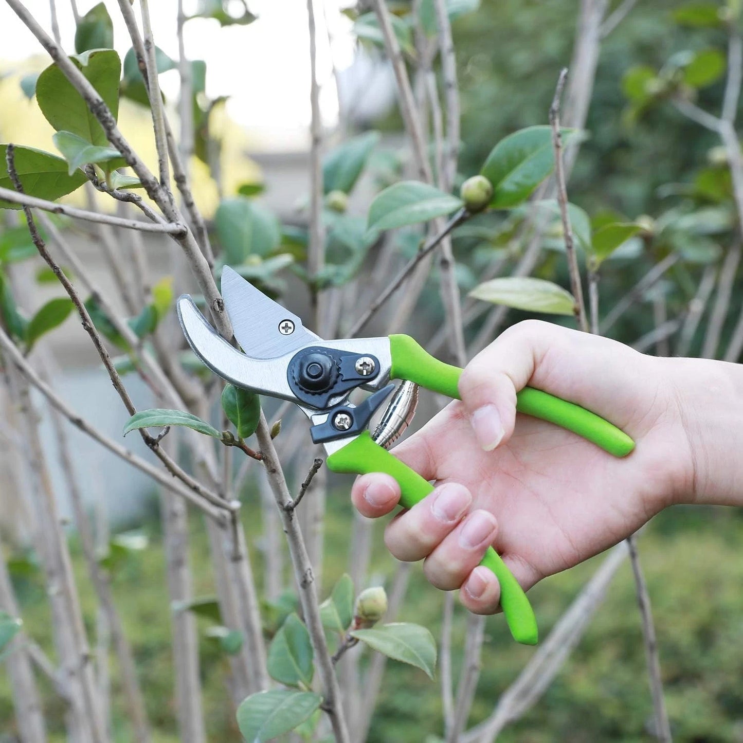 Garden Pruning Set: 2-Piece Heat-Treated Steel Tools for Effortless Cutting