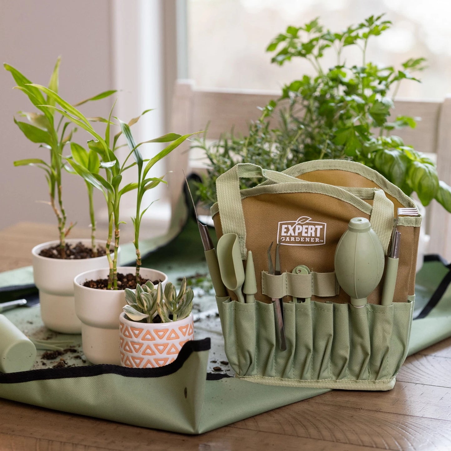 Indoor Stainless Steel Gardening Tool Set, 14 Pieces, Misty Mint