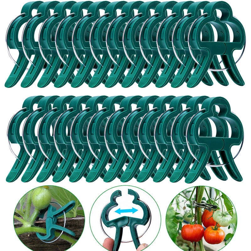 100PC LARGE PLANT & GARDEN CLIPS Support Tomato Vegetable Trellis Twine Ties