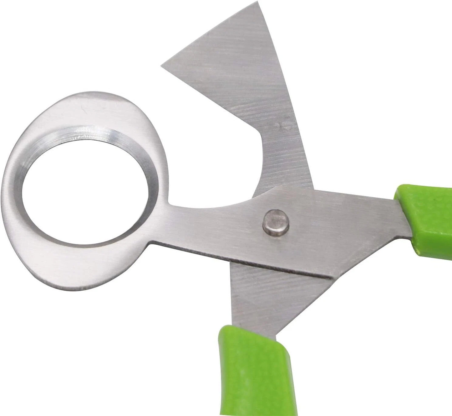 Quail Roast egg scissors Cut eggshell scissors eggshell opening divider scissors