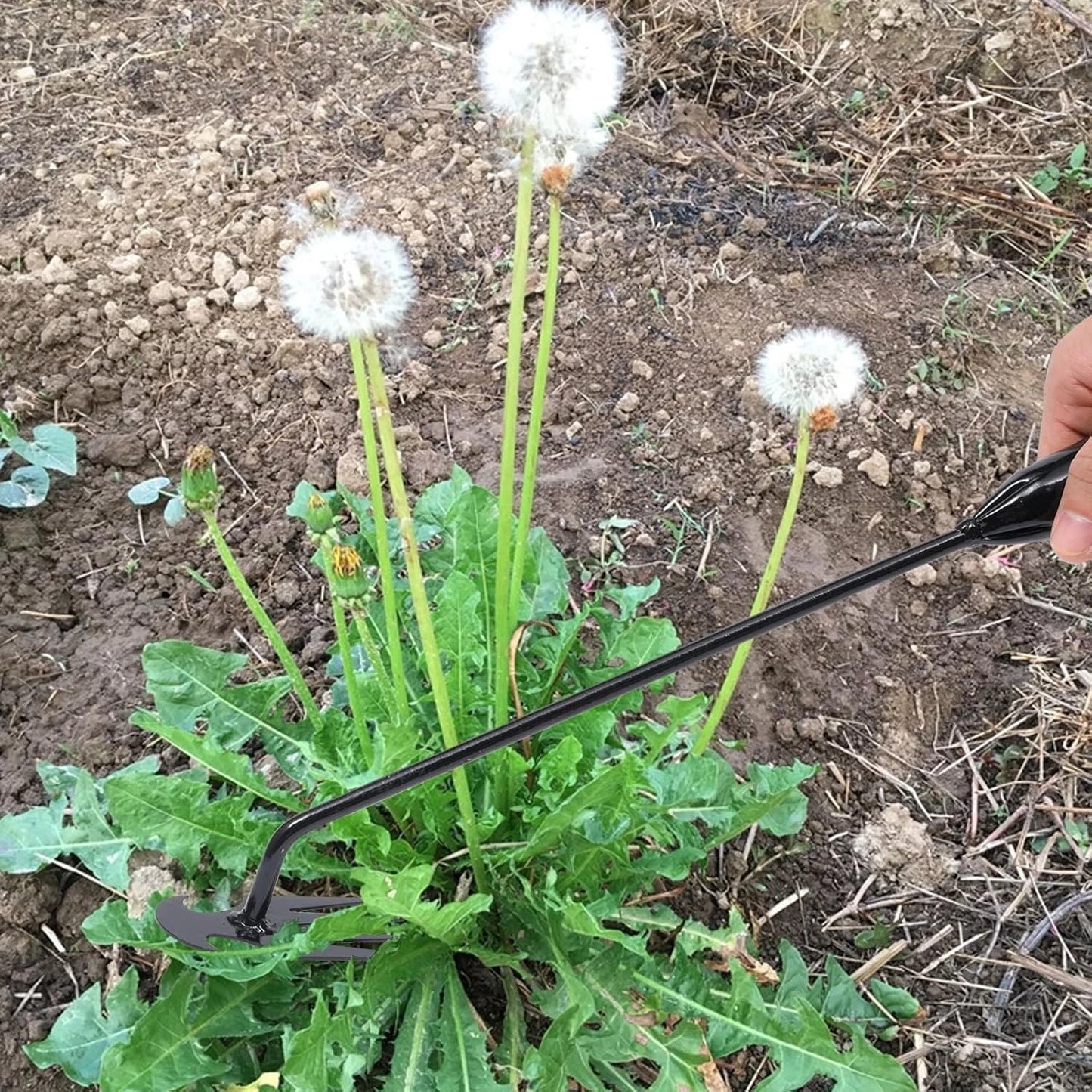 Upgrade Your Garden with 2-Pack 16 inch Weed Pulling Tools for Easy Gardening