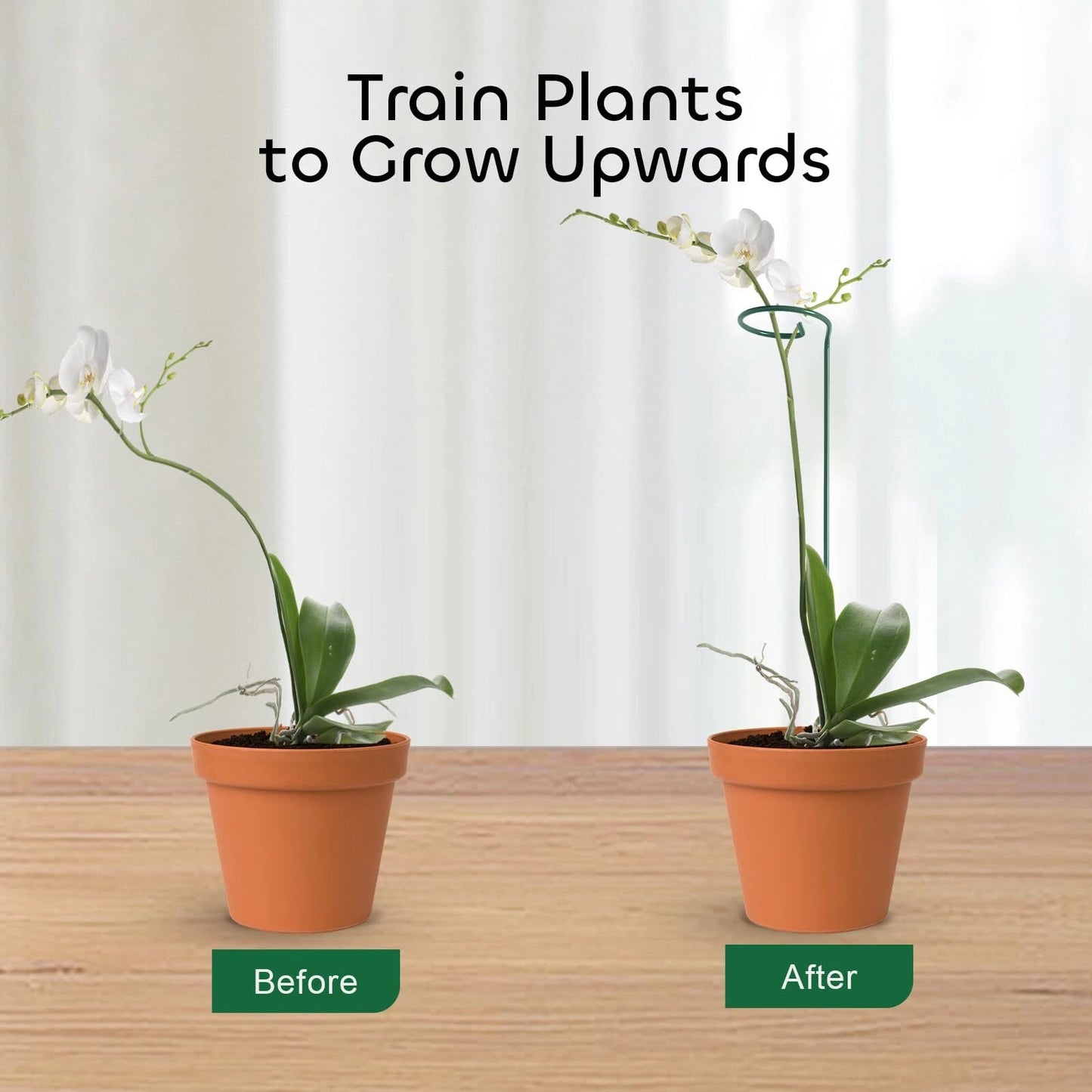 Plant Support Stakes with Plant Labels Garden Single Stem Flower Cage Support