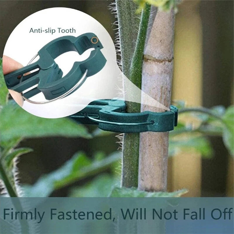 100PC LARGE PLANT & GARDEN CLIPS Support Tomato Vegetable Trellis Twine Ties