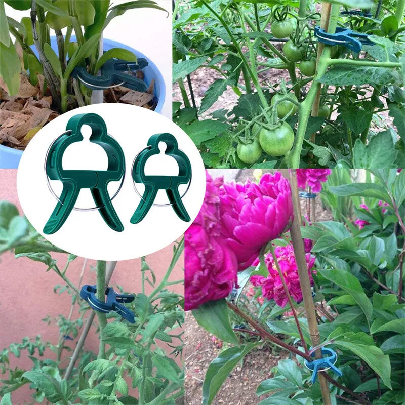 100PC LARGE PLANT & GARDEN CLIPS Support Tomato Vegetable Trellis Twine Ties