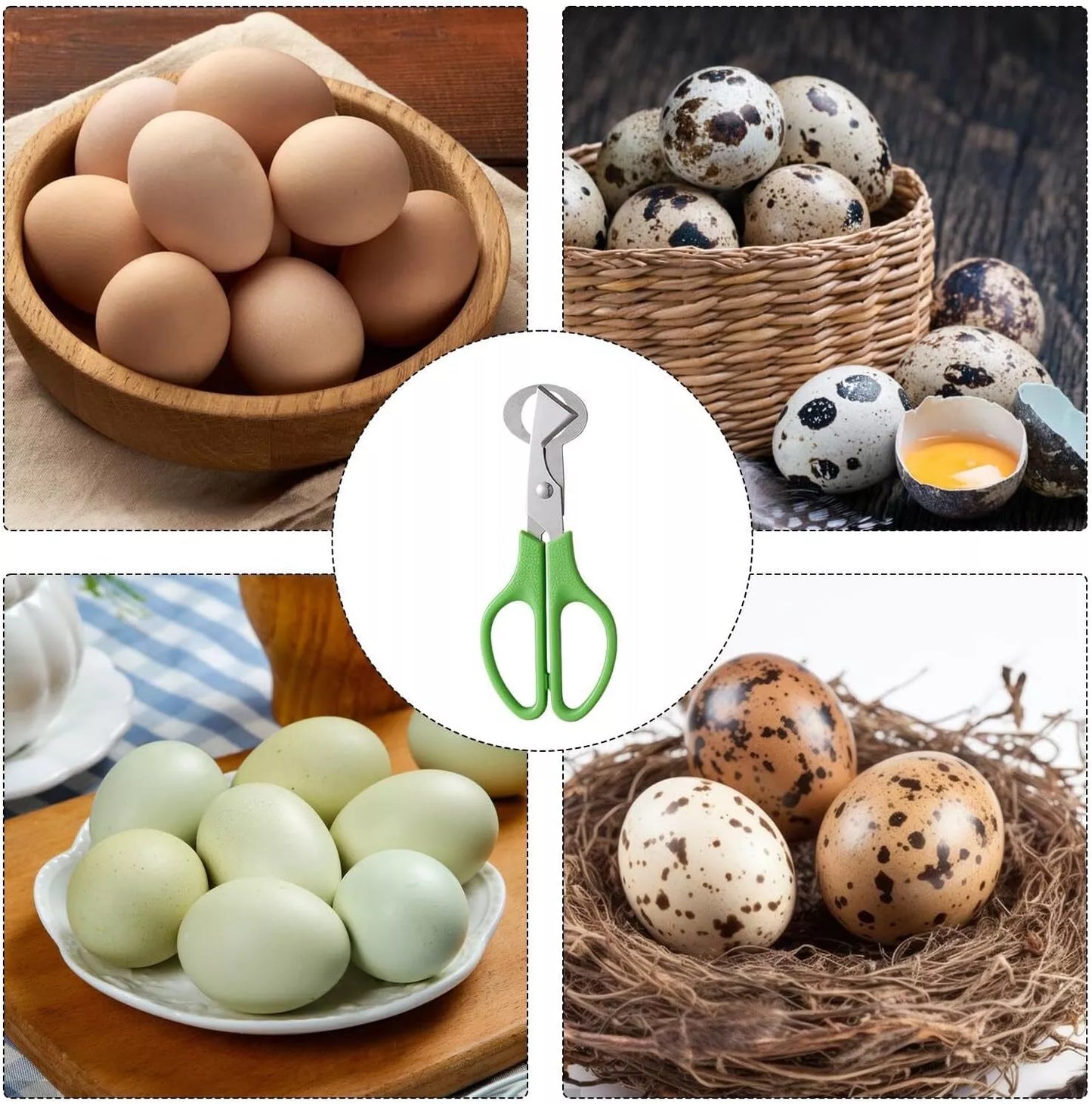 Quail Roast egg scissors Cut eggshell scissors eggshell opening divider scissors
