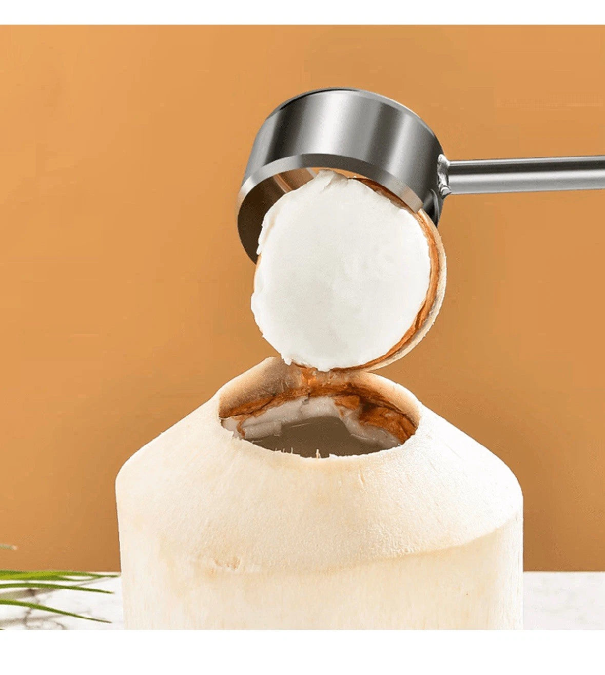 Coconut Opener Tool Set with Hammer Easy Open for Young Coconuts Stainless