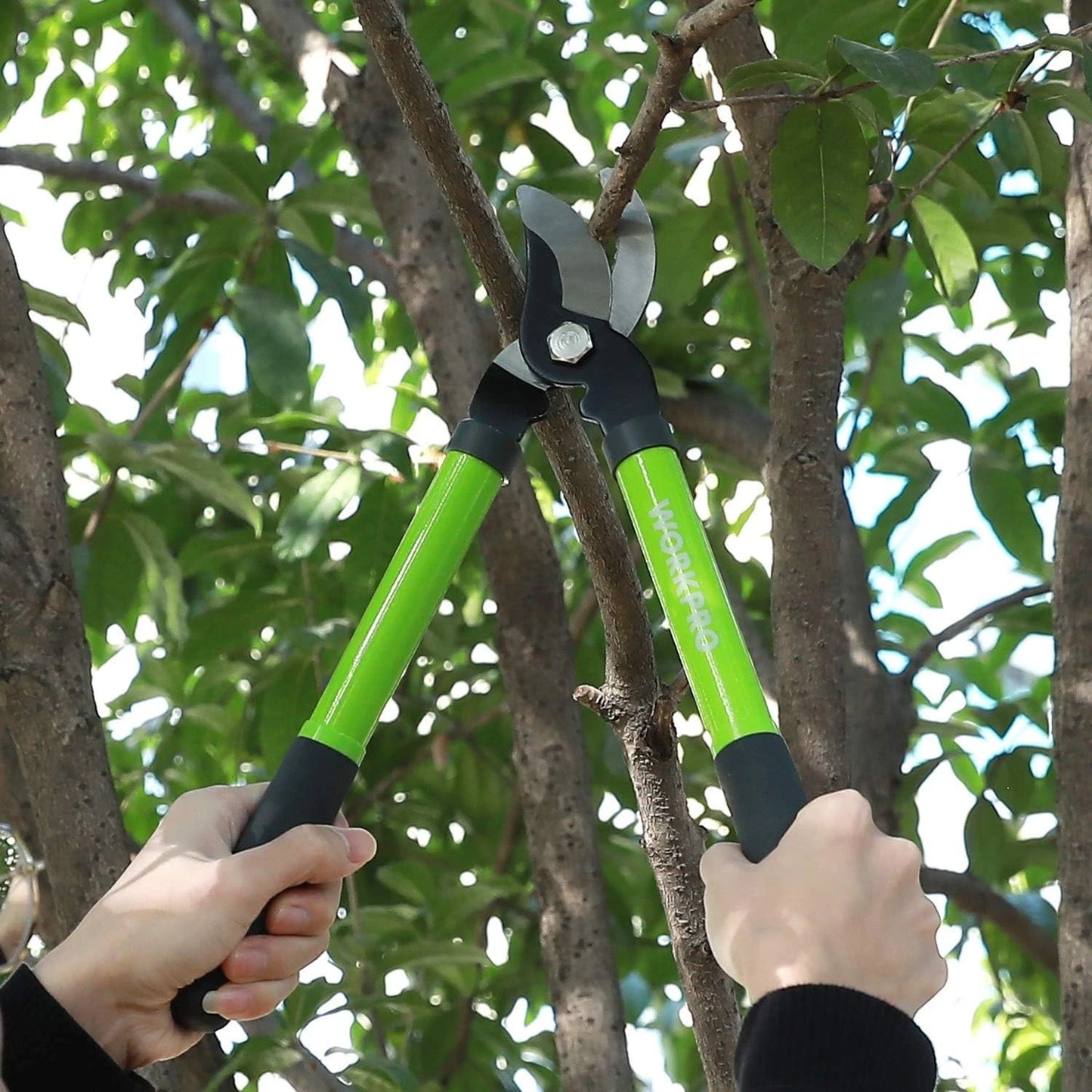 Garden Pruning Set: 2-Piece Heat-Treated Steel Tools for Effortless Cutting