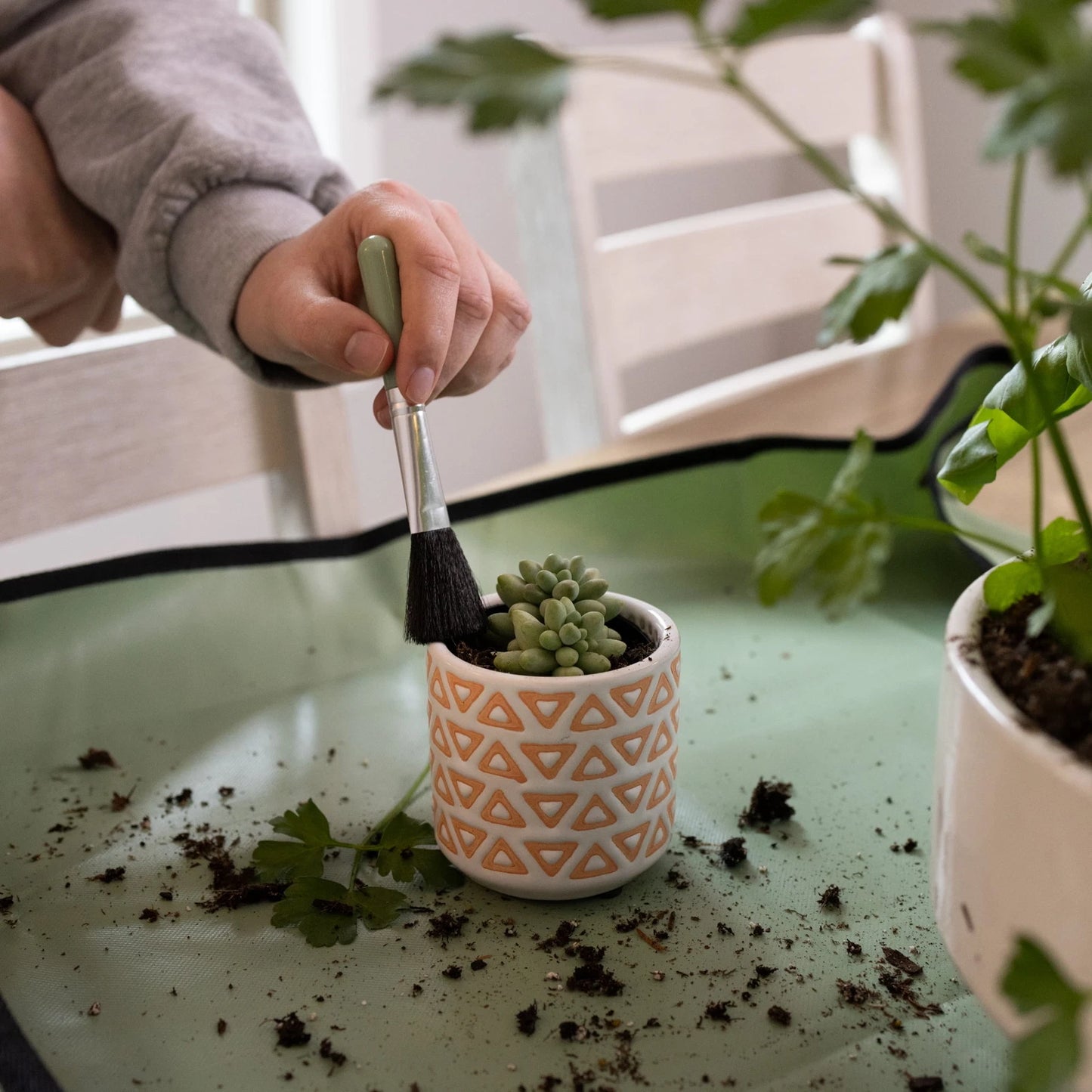 Indoor Stainless Steel Gardening Tool Set, 14 Pieces, Misty Mint