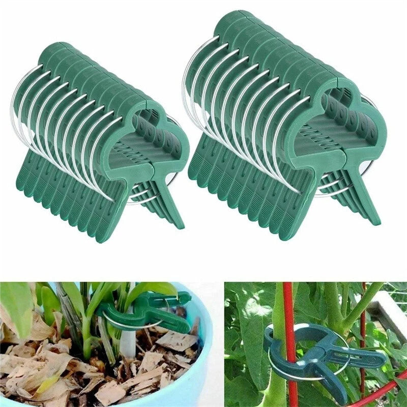 100PC LARGE PLANT & GARDEN CLIPS Support Tomato Vegetable Trellis Twine Ties