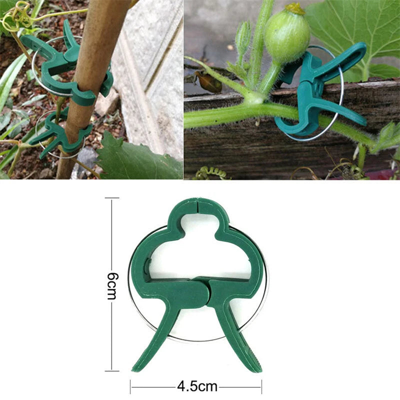 100PC LARGE PLANT & GARDEN CLIPS Support Tomato Vegetable Trellis Twine Ties