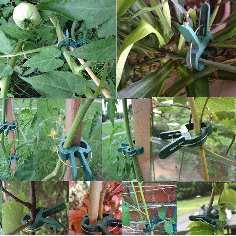 100PC LARGE PLANT & GARDEN CLIPS Support Tomato Vegetable Trellis Twine Ties
