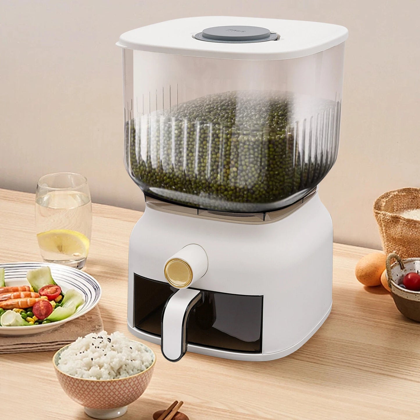 22 Lbs Food Dispenser Kitchen Organizer for Rice, Beans, Grains, Cereal Dry Food