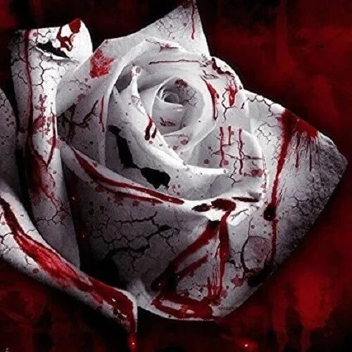 50PCS White Blood Rose Plant Flower Seeds Fragrant Garden Flower Perennial