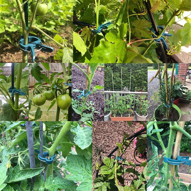 100PC LARGE PLANT & GARDEN CLIPS Support Tomato Vegetable Trellis Twine Ties