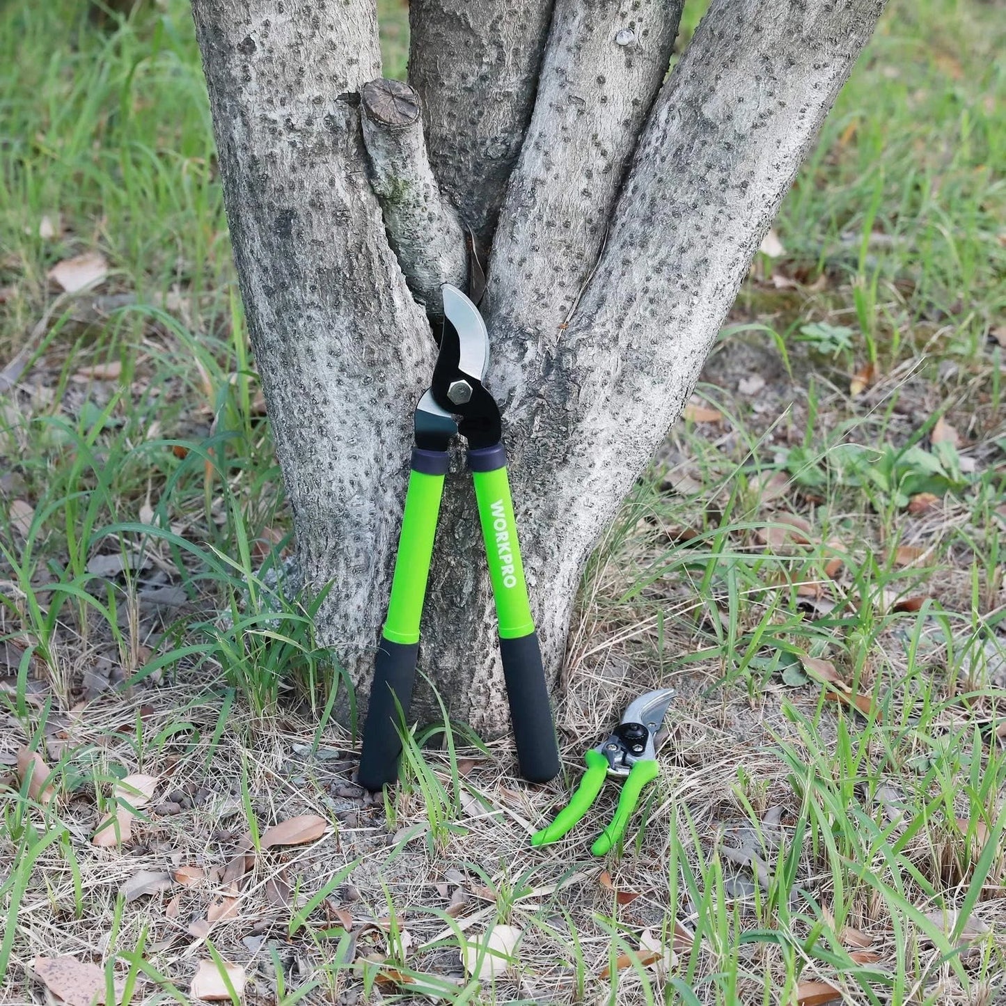 Garden Pruning Set: 2-Piece Heat-Treated Steel Tools for Effortless Cutting