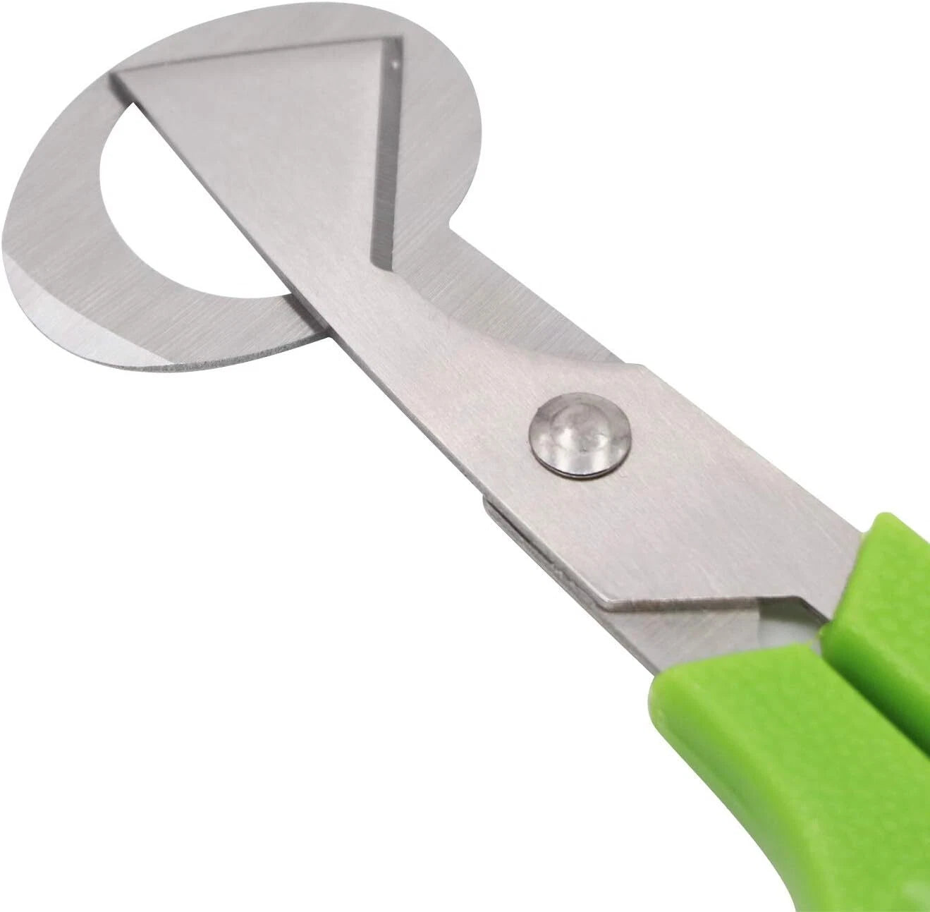 Quail Roast egg scissors Cut eggshell scissors eggshell opening divider scissors