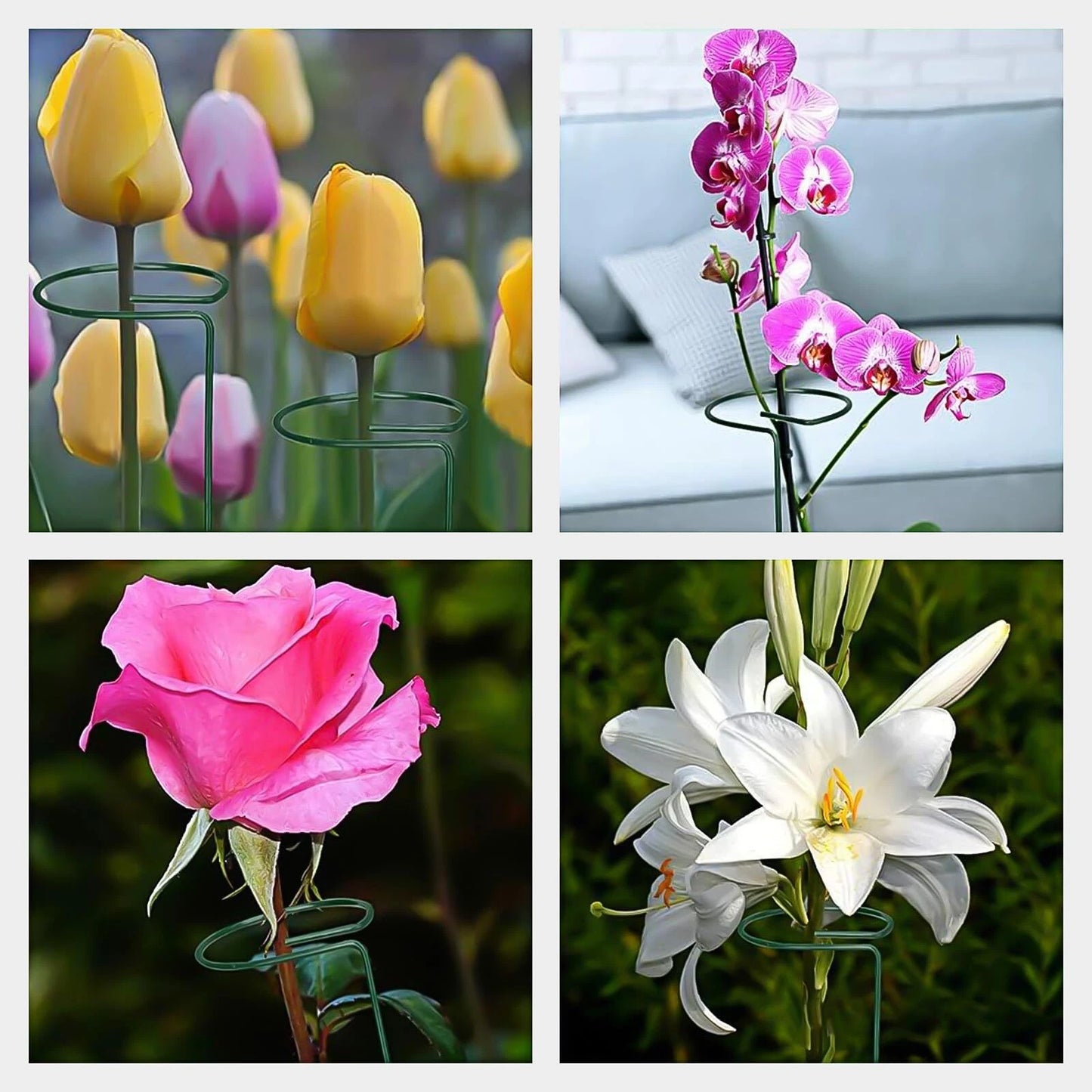 Plant Support Stakes with Plant Labels Garden Single Stem Flower Cage Support