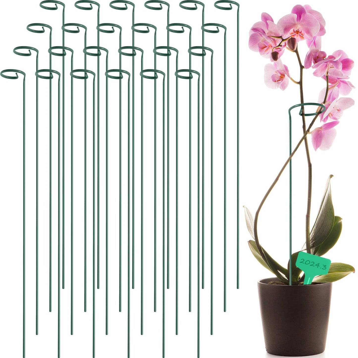 Plant Support Stakes with Plant Labels Garden Single Stem Flower Cage Support