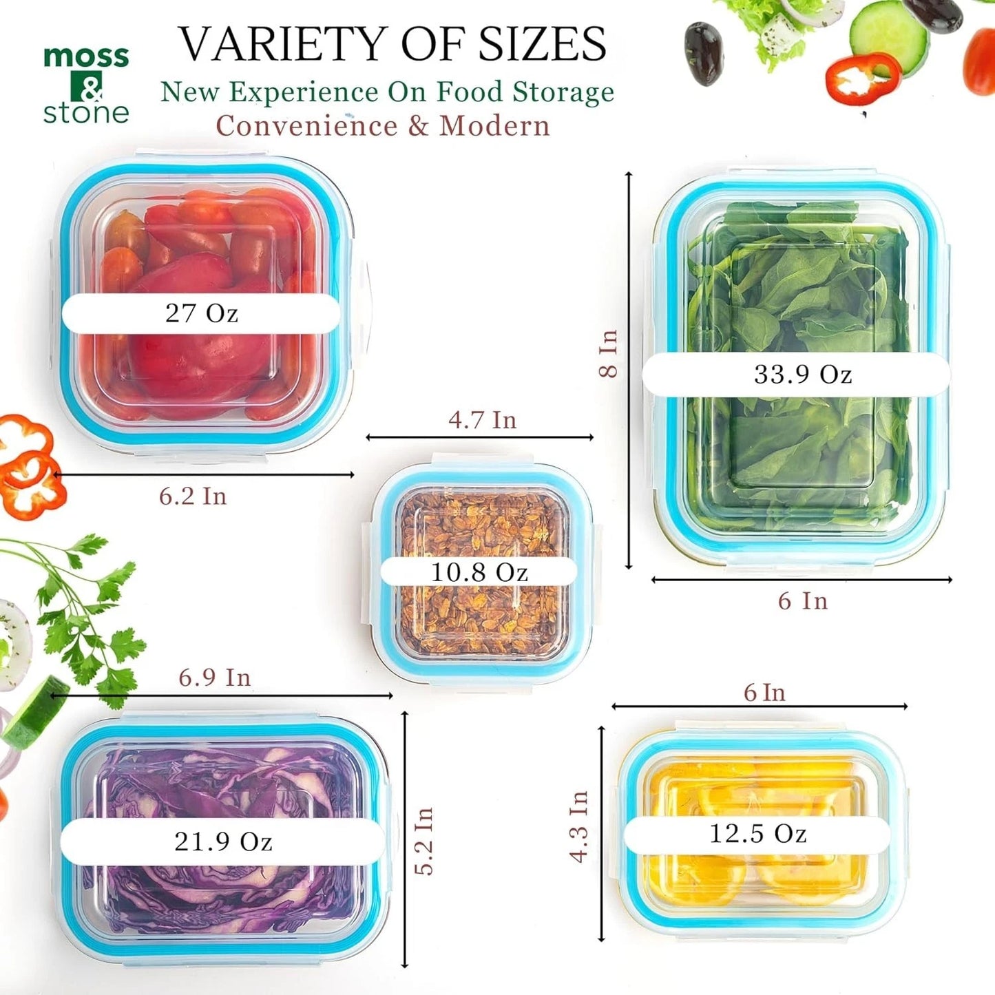 Elegant BPA-Free Kitchen Storage Containers - 10 Pack with Snap Lock Lids