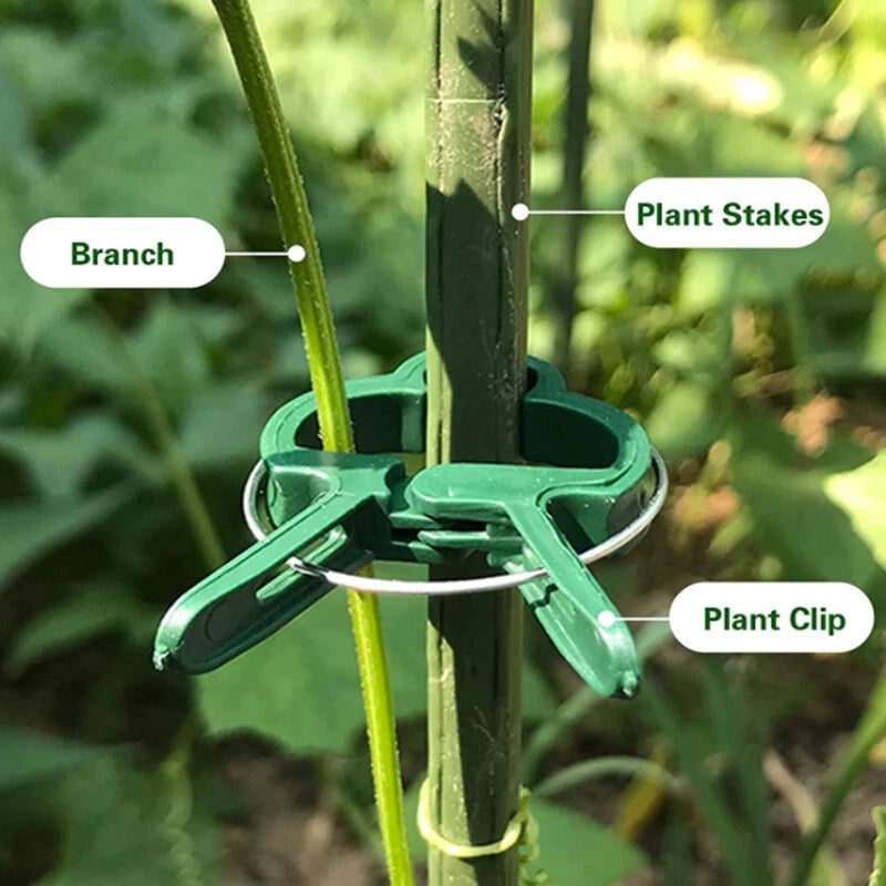 100PC LARGE PLANT & GARDEN CLIPS Support Tomato Vegetable Trellis Twine Ties